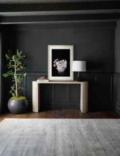 Nambi: Pose II, WOVEN Series Photography Print By Ashley Johnson 13 Nambi: Pose II, WOVEN Series Photography Print By Ashley Johnson -Home Furnishings Store 20210526 ConsoleArtVignette 7204 NOART