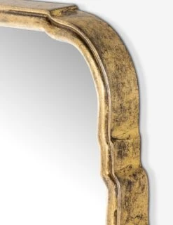 Teresa Mirror -Home Furnishings Store 233859 001 DET 1