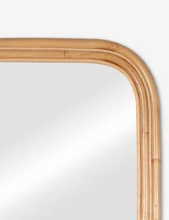 Reyna Mirror 6 Reyna Mirror -Home Furnishings Store 41916 7