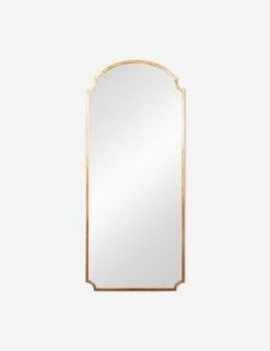 Home Furnishings Store 19 Whitley Floor Mirror