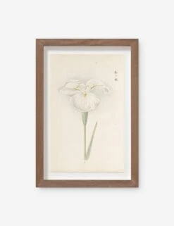 Vintage Japanese Iris No. 10 Wall Art By Miyoshi Manabu