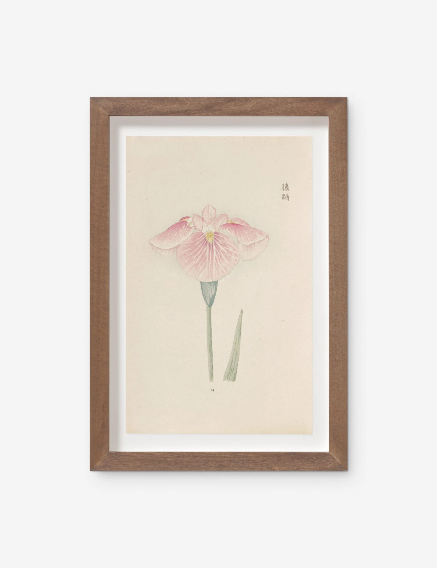 Vintage Japanese Iris No. 14 Wall Art By Miyoshi Manabu 1 Vintage Japanese Iris No. 14 Wall Art By Miyoshi Manabu