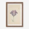 Vintage Japanese Iris No. 29 Wall Art By Miyoshi Manabu