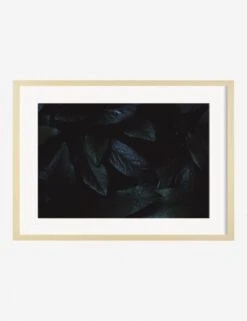 Still Life 3 Photography Print By Ashley Johnson 9 Still Life 3 Photography Print By Ashley Johnson -Home Furnishings Store AshleyJohnsonStillLIfePack7 3naturalframe