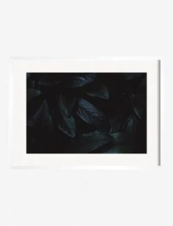 Still Life 3 Photography Print By Ashley Johnson 11 Still Life 3 Photography Print By Ashley Johnson -Home Furnishings Store AshleyJohnsonStillLIfePack7 3whiteframe