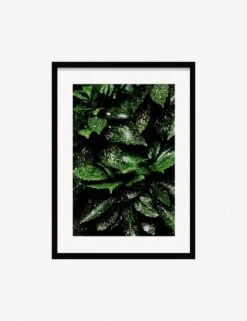 Still Life 7 Photography Print By Ashley Johnson