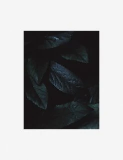 Still Life 3 Photography Print By Ashley Johnson 12 Still Life 3 Photography Print By Ashley Johnson -Home Furnishings Store AshleyJohnsonStillLifePack7 3unframed