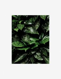 Still Life 7 Photography Print By Ashley Johnson -Home Furnishings Store AshleyJohnsonStillLifePack7 7unframed