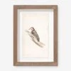 Vintage Bird Watercolor No. 00 Wall Art By Visual Contrast