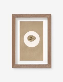 Vintage Bird Watercolor No. 185 Wall Art By Visual Contrast