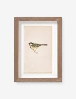 Vintage Bird Watercolor No. 76 Wall Art By Visual Contrast