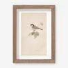 Vintage Bird Watercolor No. 78 Wall Art By Visual Contrast