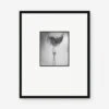 Woman With Chiffon Photography Print By Erwin Blumenfeld