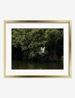 Lake Nicaragua Photography Print By Carley Rudd -Home Furnishings Store CarleyRuddLakeNicaraguaGoldFrame