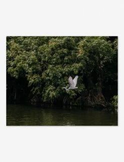 Lake Nicaragua Photography Print By Carley Rudd -Home Furnishings Store CarleyRuddLakeNicaraguaUnframed