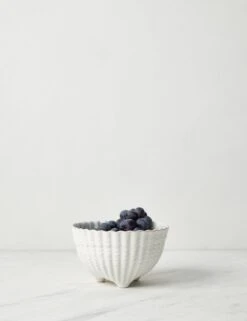 Aparte Footed Bowl By Costa Nova