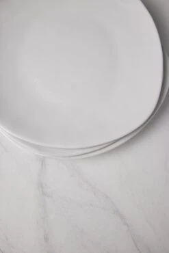 Organic Dinner Plates (Set Of 4) By Hawkins New York -Home Furnishings Store HawkinsNewYorkOrganicDinnerwareSetof4DinnerPlates 0506