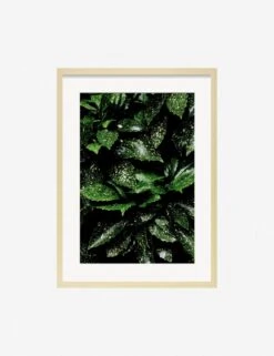 Still Life 7 Photography Print By Ashley Johnson -Home Furnishings Store JohnsonStillLifePack7 7naturalframe