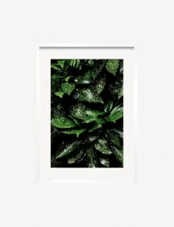 Still Life 7 Photography Print By Ashley Johnson -Home Furnishings Store JohnsonStillLifePack7 7whiteframe