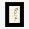 Charcoal Nudes 3 Wall Art By ZBC House
