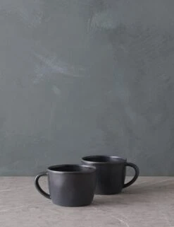Livia Mug (Set Of 2) By Costa Nova -Home Furnishings Store LiviaMug Setof2 byCasafina Black L0467327 2026