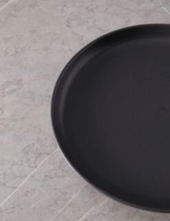 Pacifica Dinner Plates (Set Of 6) By Casafina -Home Furnishings Store PacificaDinnerPlates Setof6 byCasafina SeedGray A06558281585