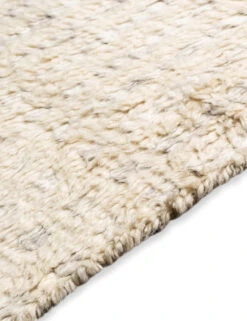 Amias Rug -Home Furnishings Store SAH 2306 sah2306 texture