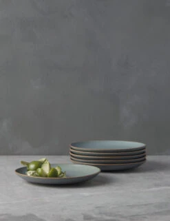 Nature Salad Plates (Set Of 6) By Thomas For Rosenthal -Home Furnishings Store ThomasNatureS 6SaladPlates Water 4566