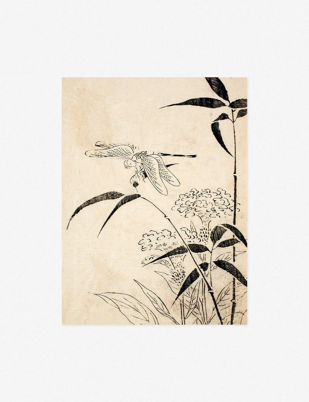 Dragonfly, Coxcomb And Bamboo Print By Miyazaki Yūzen 2 Dragonfly, Coxcomb And Bamboo Print By Miyazaki Yūzen - Image 2