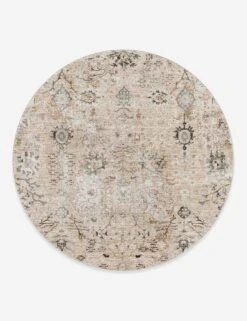 Elorah Rug -Home Furnishings Store bwk2311 53rd