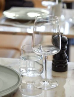 Vine Water Glasses (Set Of 6) By Costa Nova -Home Furnishings Store costa nova vine lifestyle image 4 Product