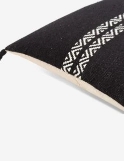 Ryla Pillow 10 Ryla Pillow -Home Furnishings Store jie002 detail corner