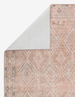 Celestin Rug -Home Furnishings Store knd01 2