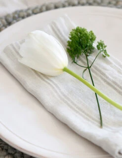 Mendocino Napkins (Set Of 4) By Pom Pom At Home 7 Mendocino Napkins (Set Of 4) By Pom Pom At Home -Home Furnishings Store mendocino lifestyle copy